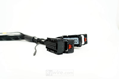 Rywire LS3 swap engine harness for the GM E38 engine computer, photo 5