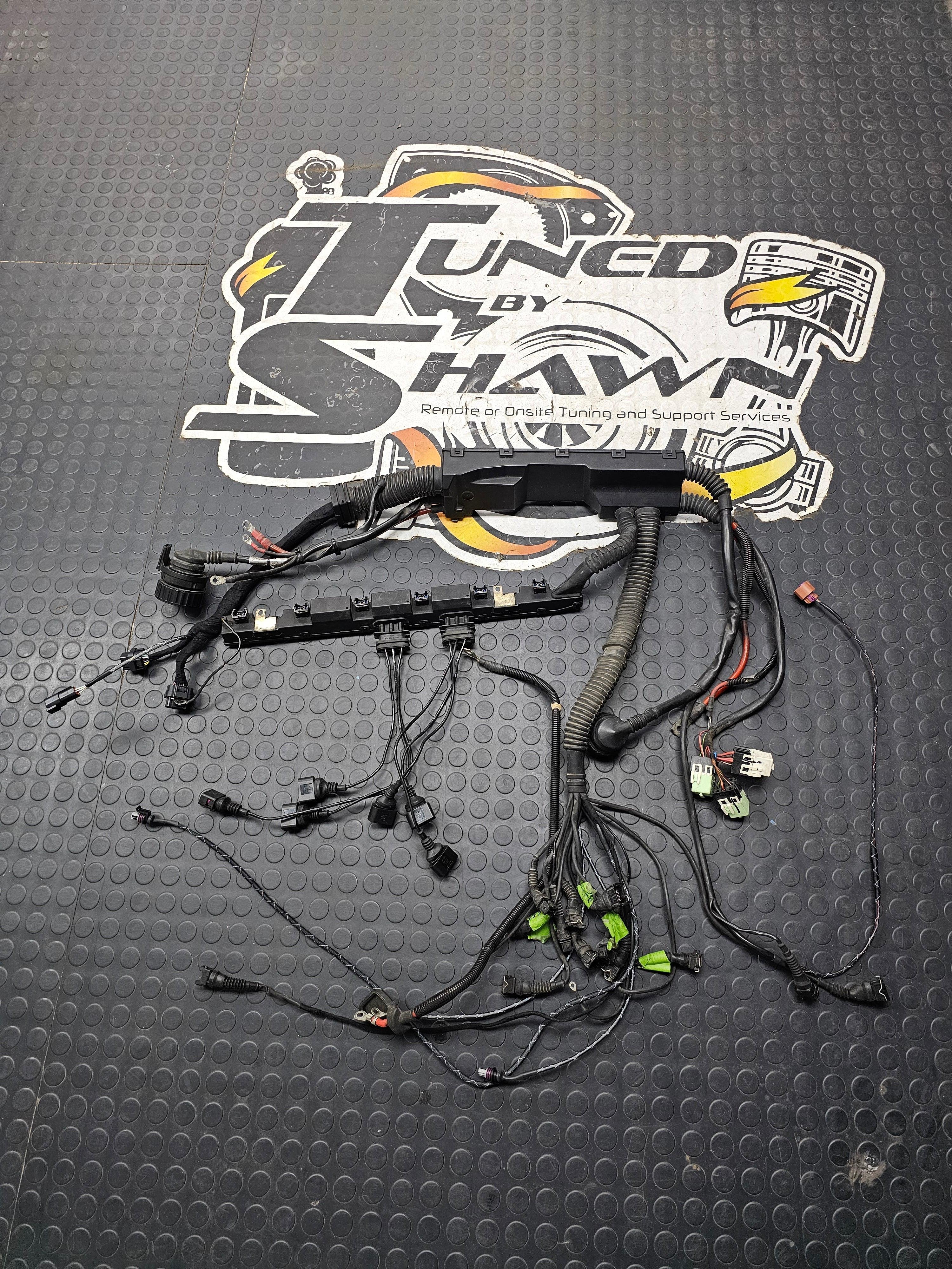 Haltech - BMW E36 OBD1 - HARNESS CONVERSION from Tuned By Shawn