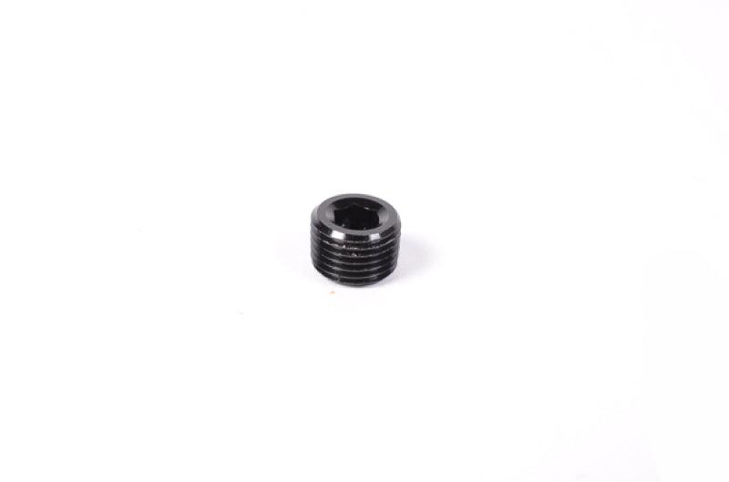 Radium Engineering 1/8in NPT Plug from Tuned By Shawn