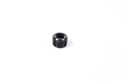 Radium Engineering 1/8in NPT Plug from Tuned By Shawn