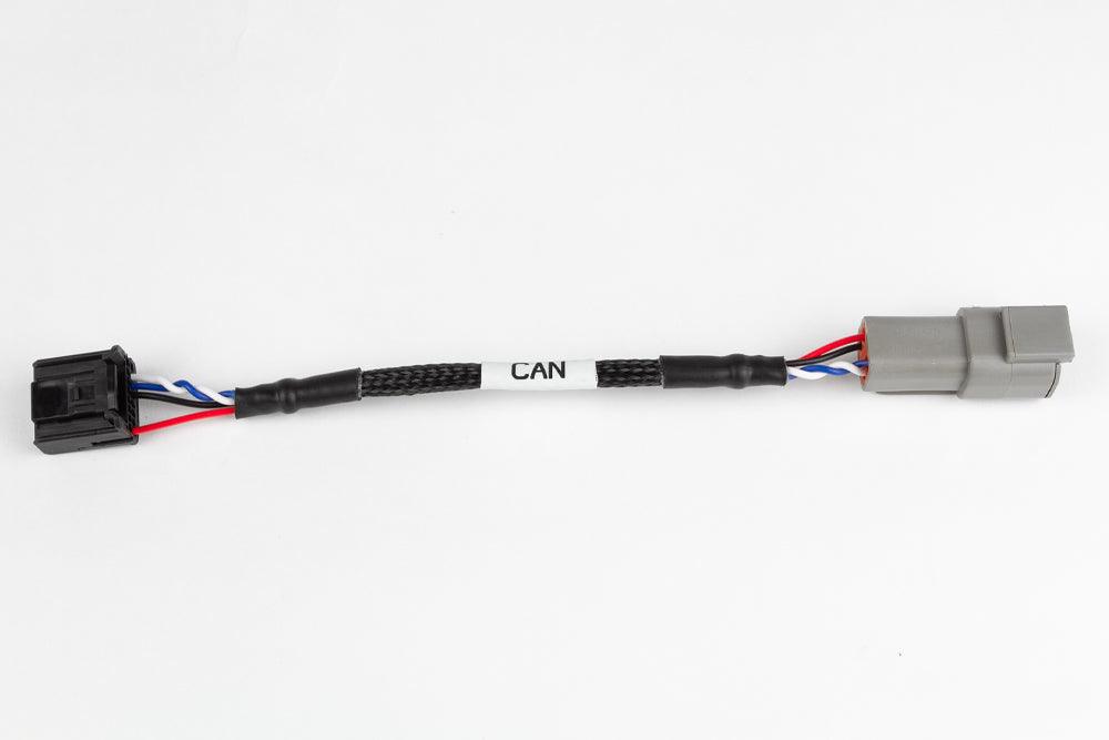 Haltech Elite CAN Cable - DTM4 Receptacle to 16 pin Black Tyco Length: 150mm / 6" Low Stock from Tuned By Shawn