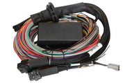 Haltech Elite 2500 & 2500 T Premium Universal Wire-in Harness (HT-141304), from Tuned By Shawn