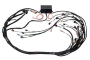 Haltech Elite 2000/2500 GM GEN III LS1 & LS6 non DBW Terminated Harness (HT-141360), from Tuned By Shawn