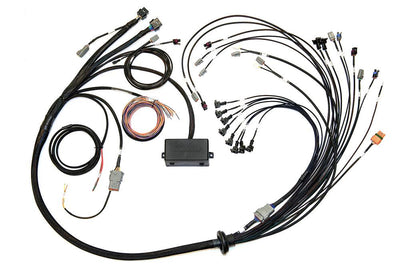 HT-141376 - Elite 2000 V8 Small/Big BlockGM, Ford & Chrysler Terminated Harness