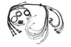 HT-142005 - Elite 2500 & REM 16 Inj V8 Small/Big BlockGM, Ford & Chrysler Terminated Harness