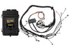 HT-151326 - Elite 2500 + Toyota 2JZ HPI6Terminated Harness Kit