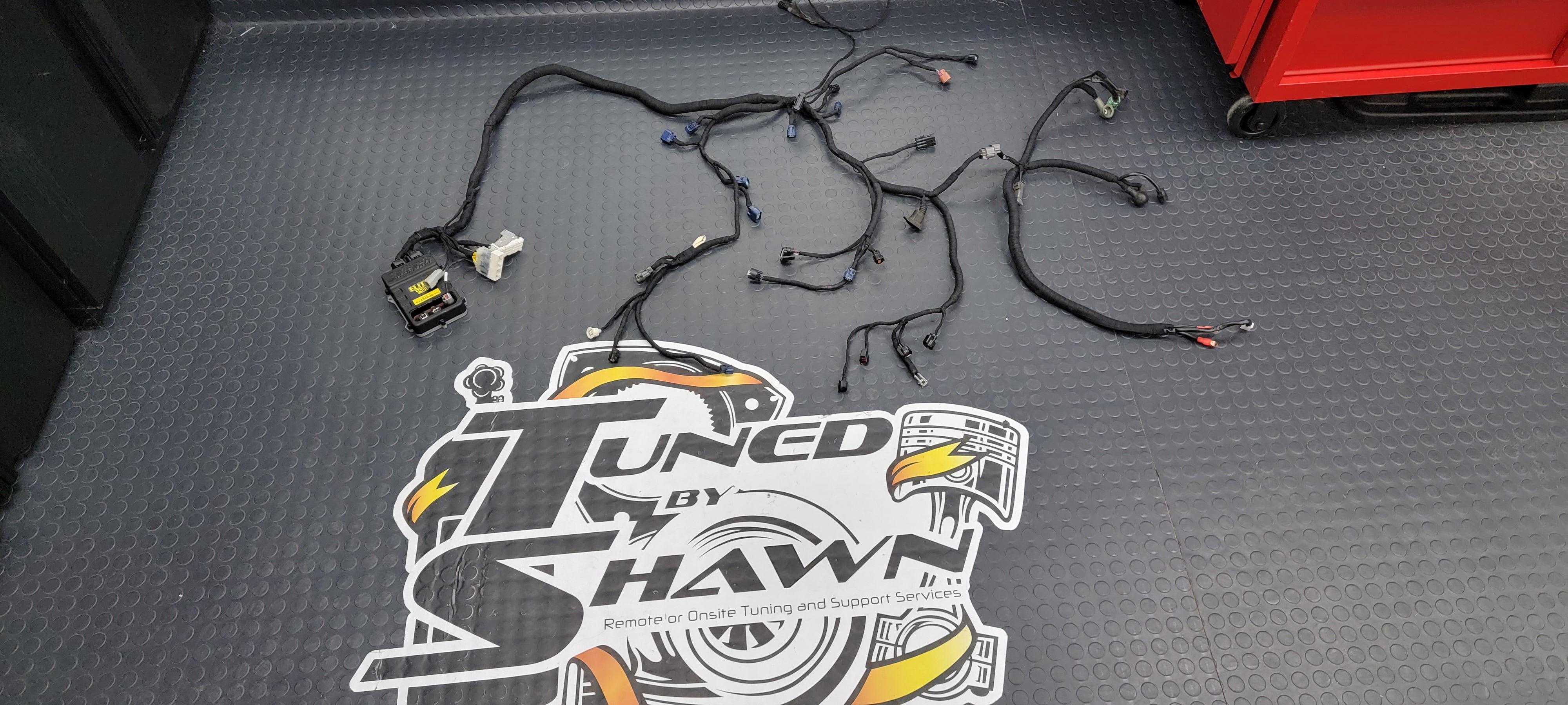 Haltech - Mazda Rx8 K20/K24 Swap Rx8 Engine Harness from Tuned By Shawn
