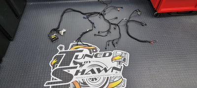 Haltech - Mazda Rx8 K20/K24 Swap Rx8 Engine Harness from Tuned By Shawn